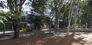 GDF retira lixo guardado por acumulador em comercial do Plano Piloto