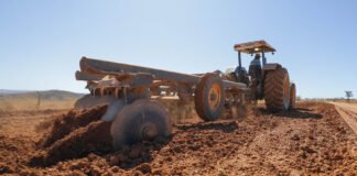 Pavimentação de vicinais no Gama impulsiona escoamento agrícola de produtores rurais