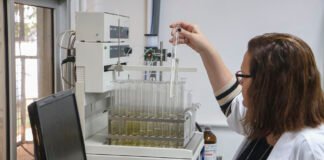 Unidades de conservação do DF auxiliam pesquisa para tratamento de diabetes