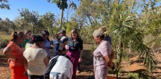 Produtores beneficiados aprendem a fazer manutenção em fossas biodigestoras