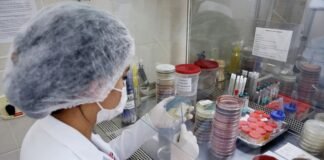 Nova técnica agiliza tratamento de pacientes com antibióticos no HRSM