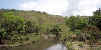 Acordo de repasse garante continuidade e expansão do Projeto Produtor de Água