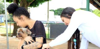 Julho Dourado levanta a importância da vacinar os pets e prevenir zoonoses