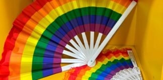 Conferência Distrital dos Direitos das Pessoas LGBTQIA+ será realizada em 2025