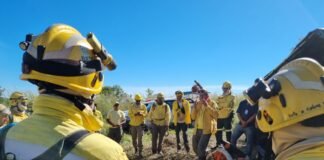 Central de Denúncias de Incêndios Florestais é criada