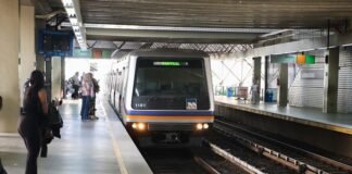 Transporte de animais de estimação no metrô tem regras especiais
