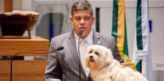 Para proteger os animais, lei os reconhece como seres sencientes, passíveis de dor e sofrimento