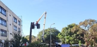 GDF faz ação preventiva para reduzir risco de queda de árvores e galhos no período chuvoso