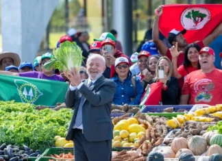 Governo Lula aposta em MST nas eleições e reforça time de marqueteiros