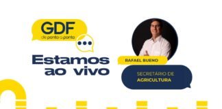 Acompanhe ao vivo o GDF de Ponto a Ponto desta quinta (29)