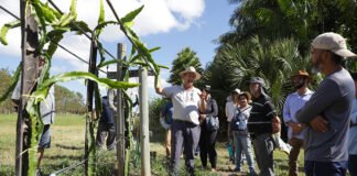 Semana do Produtor Rural revela diversidade agrícola do Paranoá