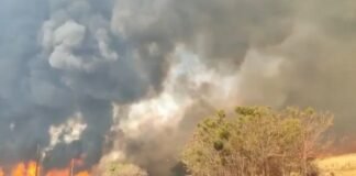 Alerta máximo para queimadas atinge 48 cidades paulistas