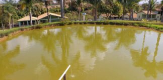GDF investiu R$ 17,4 milhões na recuperação de 19 canais de irrigação desde 2019