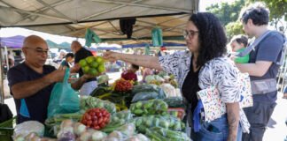 Feiras movimentam mercado rural do DF com a comercialização da produção agrícola