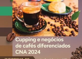 Cupping de Cafés Diferenciados é uma oportunidade para produtor fechar negócios