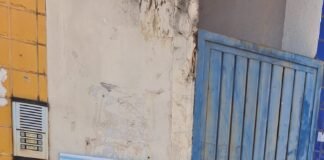 Projeto SOS Irmãos Menores expande ação de proteção animal com instalação de bebedouros e ração nas ruas