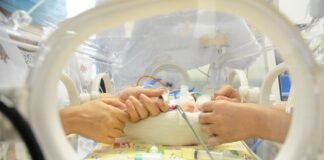 GDF envia à CLDF projeto de lei para implementar protocolo de segurança nas maternidades
