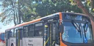 Mais de 200 ônibus para o transporte coletivo do DF são fabricados em São Paulo