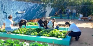 Colégio Cívico-Militar do Recanto das Emas une empreendedorismo e sustentabilidade