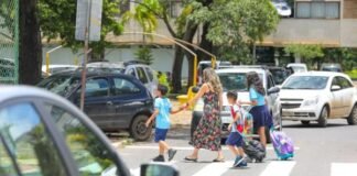 Comissão de Transporte aprova instalação de câmeras em todas as faixas de pedestres