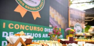 Primeira edição de concurso distrital premia 40 queijos artesanais