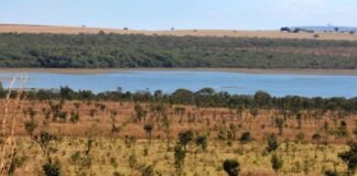 Deputados defendem preservação ambiental no Dia do Cerrado