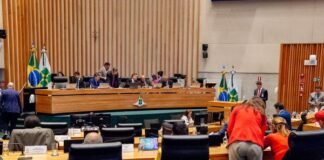 Comissão do Direito das Mulheres e Comissão de Segurança têm novos presidentes