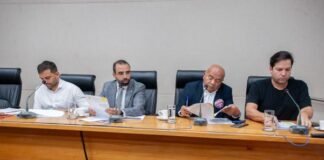 CCJ aprova Dia do Agente de Proteção da Criança e adolescente do Distrito Federal e outras datas comemorativas