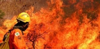 Frente Parlamentar de Prevenção aos Extremos Climáticos realiza reunião de urgência nesta terça (17)