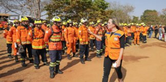 Após três dias, combatentes controlam incêndio no Parque Nacional de Brasília
