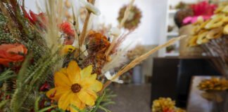 Com apoio do GDF, artesãos brasilienses vão expor em feira nacional no Ceará