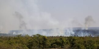 GDF investiga ação criminosa no incêndio do Parque Nacional de Brasília