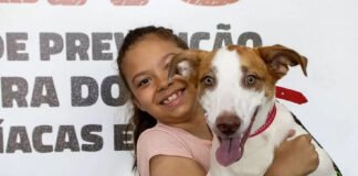 Feira pet no Gama terá adoção, artesanato e campanha de vacinação antirrábica