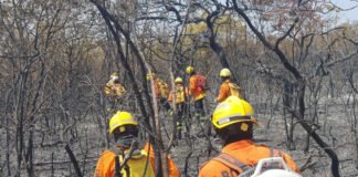 Bombeiros militares do DF têm férias e afastamentos suspensos para combater incêndios
