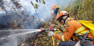 CBMDF convoca 2.000 militares do expediente administrativo para reforçar Operação Verde Vivo