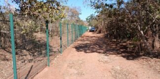 Brigadistas florestais fazem aceiro preventivo em Planaltina