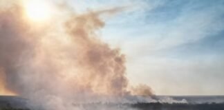 Incêndio já atingiu 1,2 mil hectares no Parque Nacional de Brasília