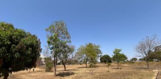 Programa reforça proteção de nascentes em parque urbano do Guará