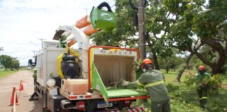 Poda de árvores deixa regiões de Sobradinho sem energia nesta sexta-feira (27)