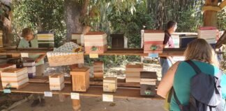 Sítio de educação socioambiental recebe visita técnica de servidores do GDF