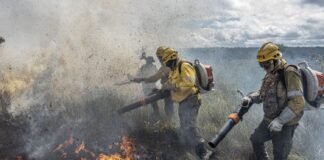 Governo adota procedimentos para Planos de Manejo Integrado do Fogo