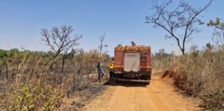Operação do GDF desmobiliza três pontos de incêndios criminosos