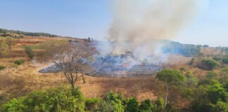 Operação Curupira, da PCDF, prende mais dois suspeitos de causar incêndios florestais