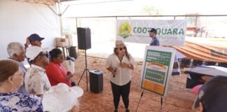 Inovação para agricultura familiar marcam o início da 24ª Semana do Pimentão