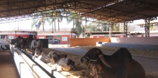 Plano plurianual traz metas para preservação ambiental e apoio à produção agrícola