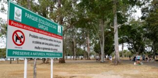 Plano de ocupação ao lado do Parque das Garças vai levar infraestrutura e lazer aos brasilienses