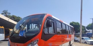 Taguatinga terá duas linhas com ônibus Zebrinha