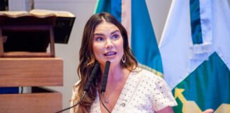 CLDF debate regulação da atividade de quiosques, trailers e food-trucks no DF