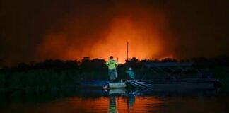 Com Lula, Amazônia e Pantanal têm piores incêndios em 20 anos