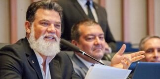 Médicos veterinários são homenageados no plenário da Câmara legislativa